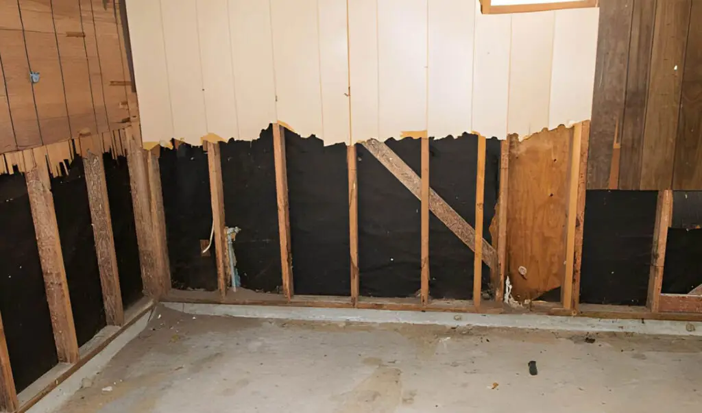 Carrollton Water Damage Restoration