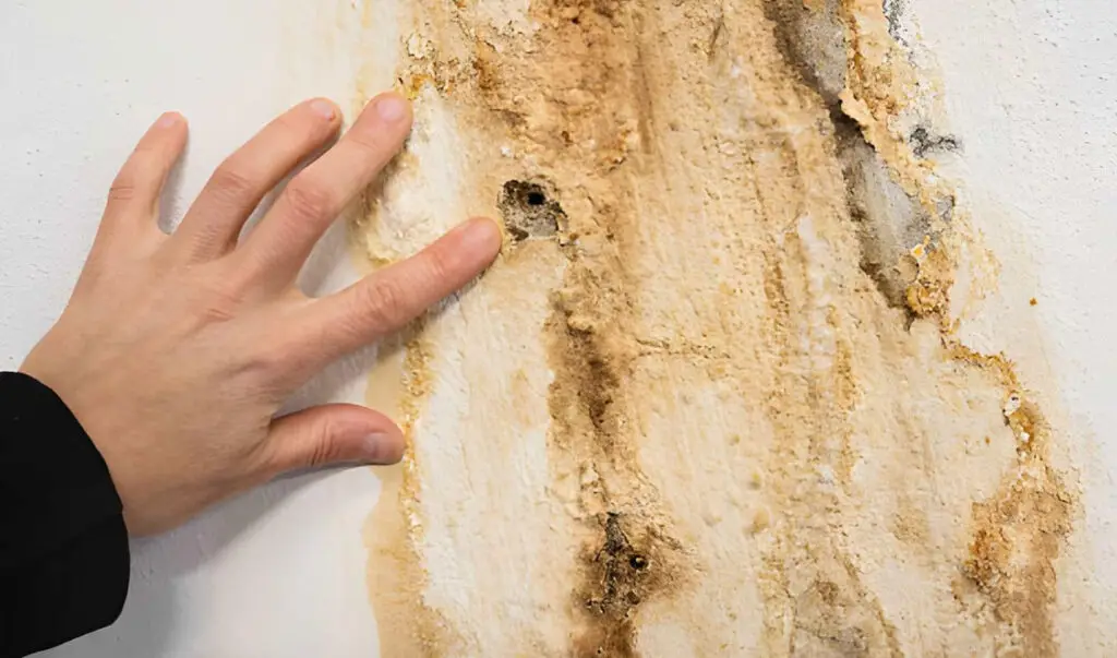 Celina Water Damage Restoration