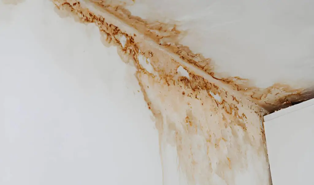 Melissa Water Damage Restoration