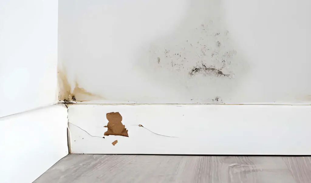 Wylie Water Damage Restoration